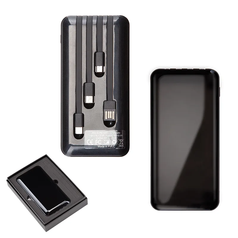 PB-4004 10.000 mAh Powerbank